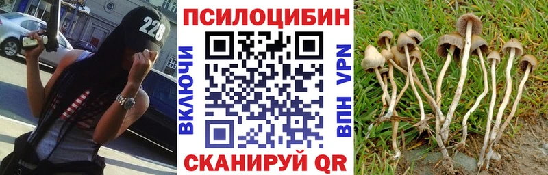Галлюциногенные грибы Cubensis  Кореновск 